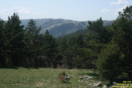 Никитская яйла