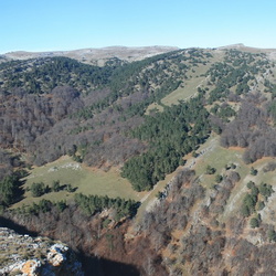 Гурзуфская яйла. Общие виды