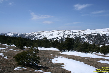 Никитская яйла и вершина Мартин-Кош