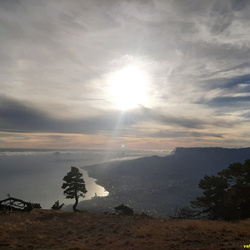 фото-блоки по датам