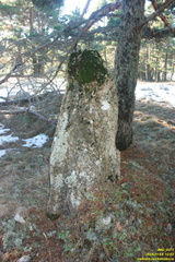 Сталагмит Рухлова на Никитской яйле