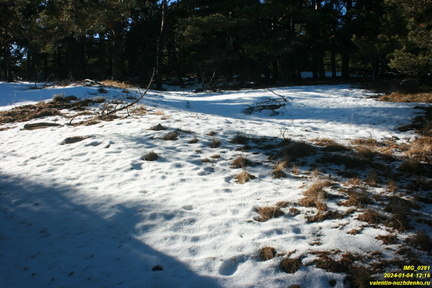 Никитская яйла