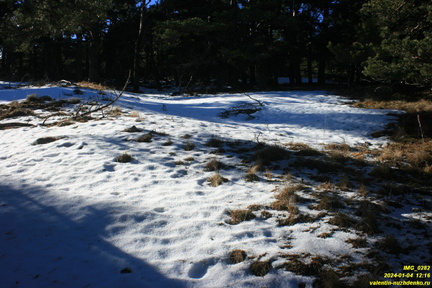 Никитская яйла