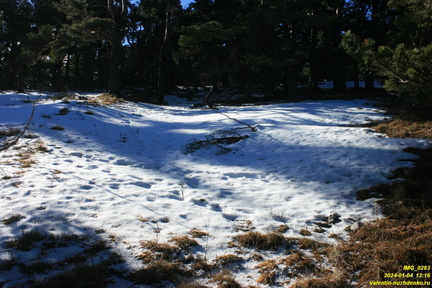 Никитская яйла