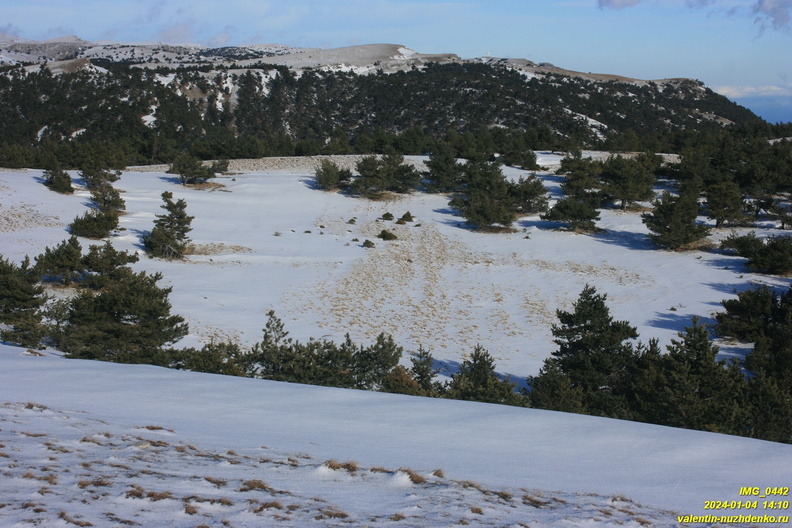2024-01-04-nikitskaya-IMG_0442.JPG