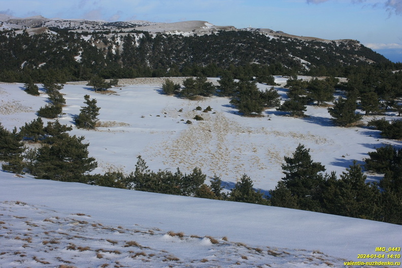 2024-01-04-nikitskaya-IMG_0443.JPG