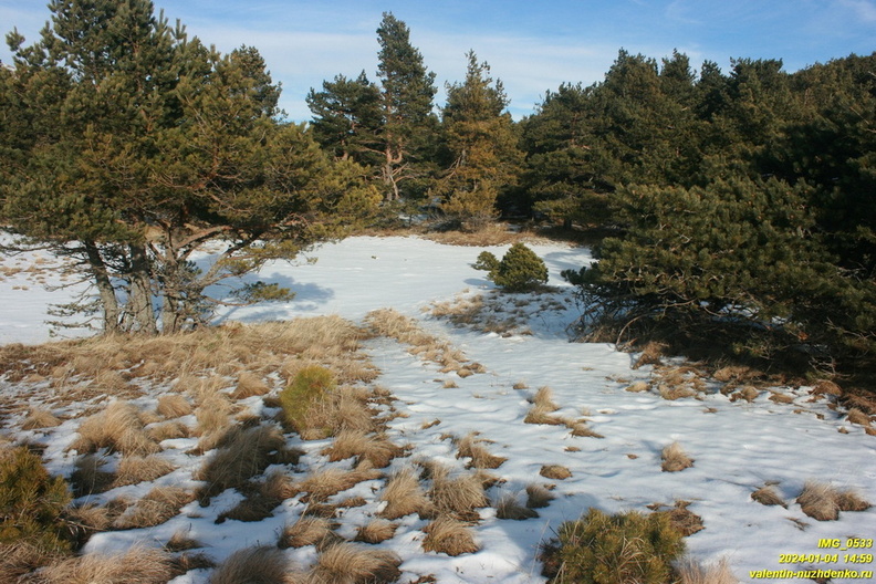 2024-01-04-nikitskaya-IMG_0533.JPG