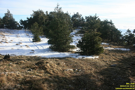 Никитская яйла