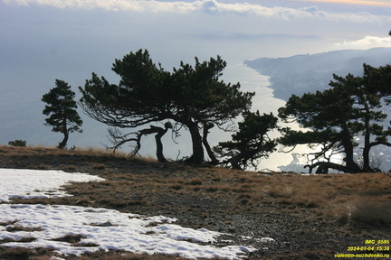 Никитская яйла. Айлия-Бурну.