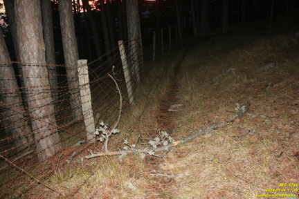 IMG 0769