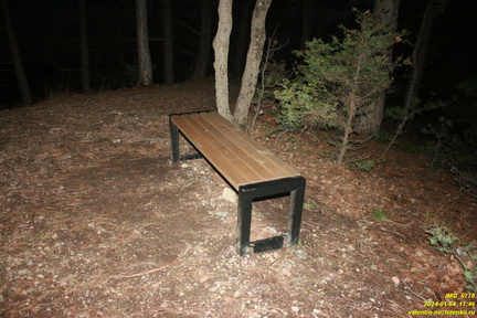 IMG 0778