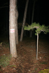 IMG 0779