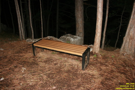 IMG 0780