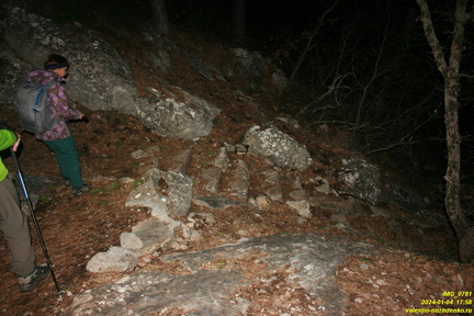 IMG 0781
