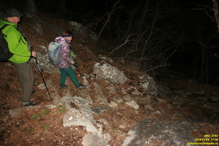 IMG 0782