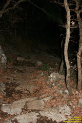 IMG 0783