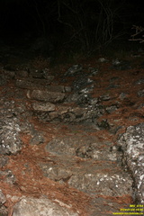 IMG 0784