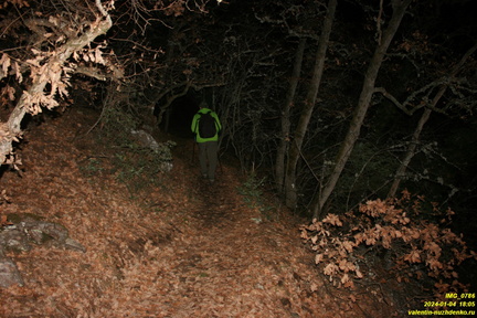IMG 0786