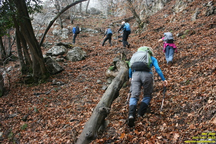 Теснина урочища Сказочное и траверс левого склона выше калитки