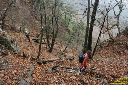 Теснина урочища Сказочное и траверс левого склона выше калитки