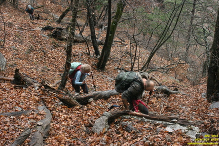 Теснина урочища Сказочное и траверс левого склона выше калитки