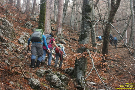 Центральная часть урочища выше оврага и ниже горельника