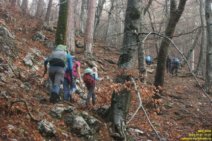 Центральная часть урочища выше оврага и ниже горельника