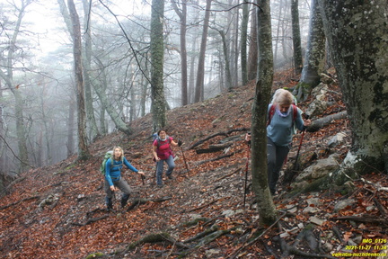 Центральная часть урочища выше оврага и ниже горельника