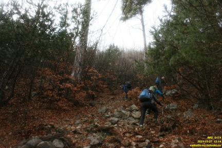 Старые горельники между родниками. Урочище Сказочное.