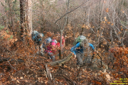 Старые горельники между родниками. Урочище Сказочное.