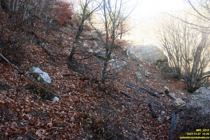 Верхняя часть старых горельников. Урочище Сказочное.
