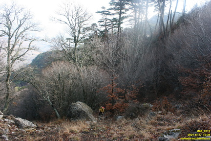 Верхняя часть старых горельников. Урочище Сказочное.