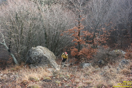 Верхняя часть старых горельников. Урочище Сказочное.