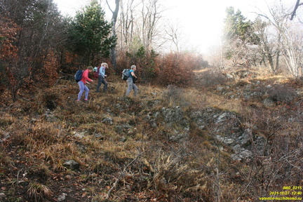 Верхняя часть старых горельников. Урочище Сказочное.