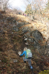 Верхняя часть старых горельников. Урочище Сказочное.