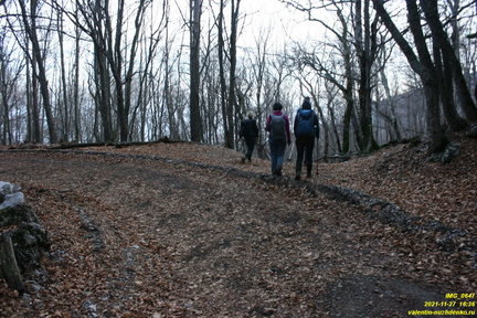 IMG 0647