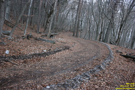 IMG 0648