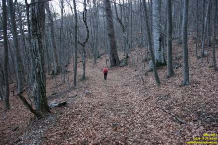 IMG 0651