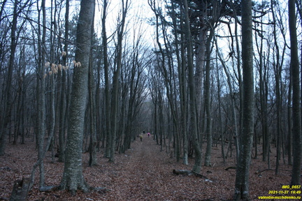 IMG 0657