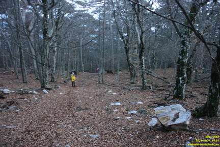 IMG 0658