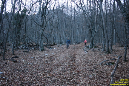 IMG 0659