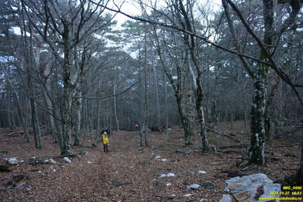 IMG 0660