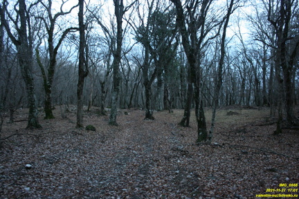 IMG 0668
