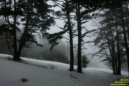 Никитская яйла. Дорога к поляне с бульдозерным ножом. Южная часть