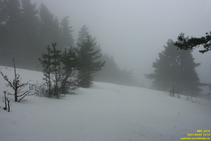 Никитская яйла. Поляна над безымянным правым притоком Авунды