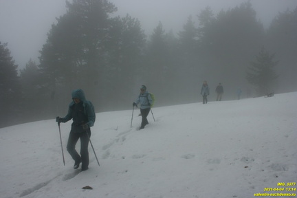 Никитская яйла. Поляна над безымянным правым притоком Авунды