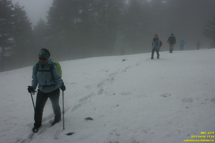 Никитская яйла. Поляна над безымянным правым притоком Авунды