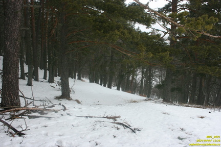 Никитская яйла. Дорога к поляне с бульдозерным ножом. Северная часть