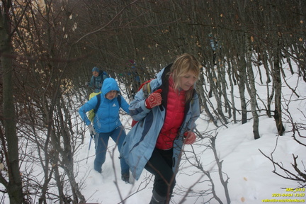 Путь от поляны с бульдозерным ножом к роднику Сказка Верхний