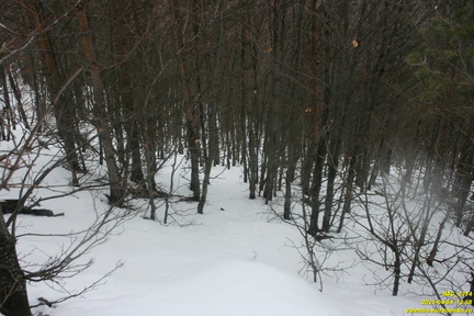 Путь от поляны с бульдозерным ножом к роднику Сказка Верхний